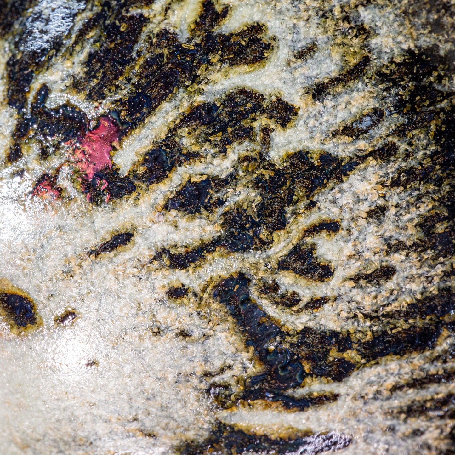 Kiln Change Glaze Bowl (9.2cm)